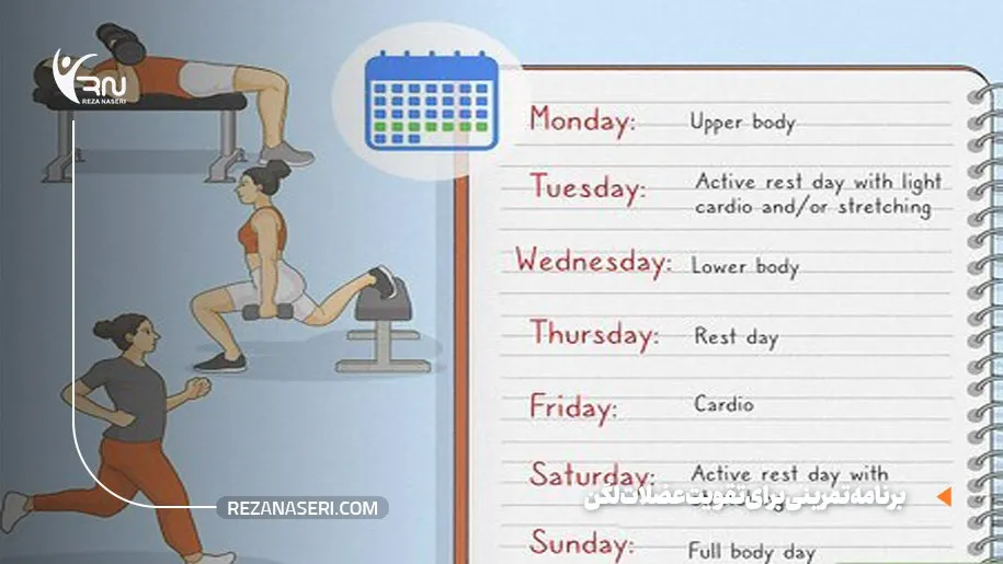 برنامه تمرینی برای تقویت عضلات لگن